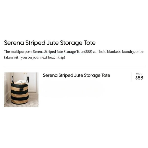 Magnolia Home Serena Striped Jute Tote Storage Basket with Leather Handles 2019 - Picture 2 of 9